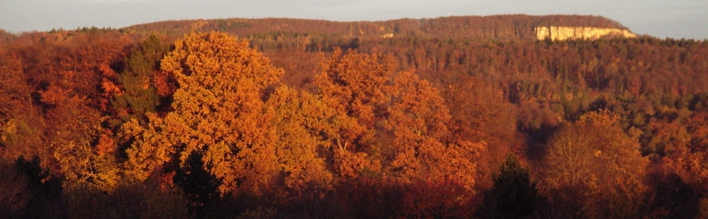 Seltisgerger Wald im Herbst