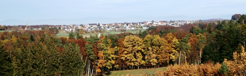 Seltisberger Wald im Herbst