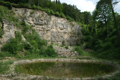 Weiher beim grossen Steinbruch, Seltisberg
